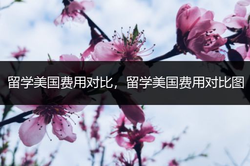 留学美国费用对比，留学美国费用对比图