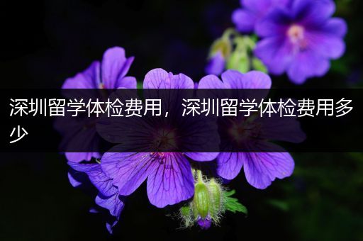 深圳留学体检费用，深圳留学体检费用多少