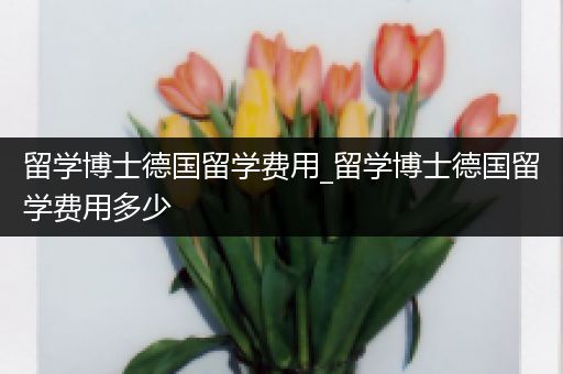 留学博士德国留学费用_留学博士德国留学费用多少