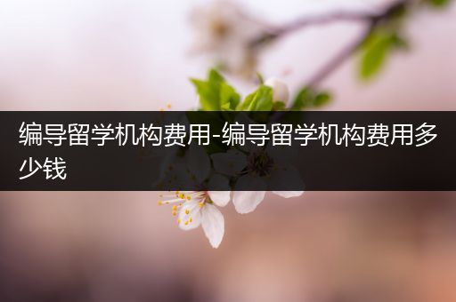 编导留学机构费用-编导留学机构费用多少钱