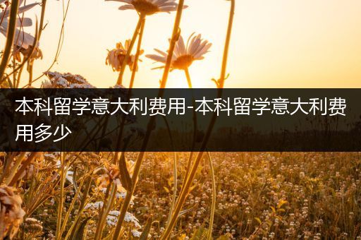 本科留学意大利费用-本科留学意大利费用多少