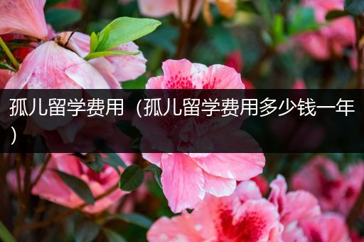 孤儿留学费用（孤儿留学费用多少钱一年）