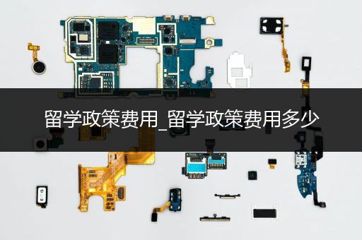 留学政策费用_留学政策费用多少