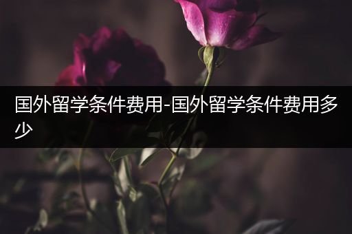 国外留学条件费用-国外留学条件费用多少