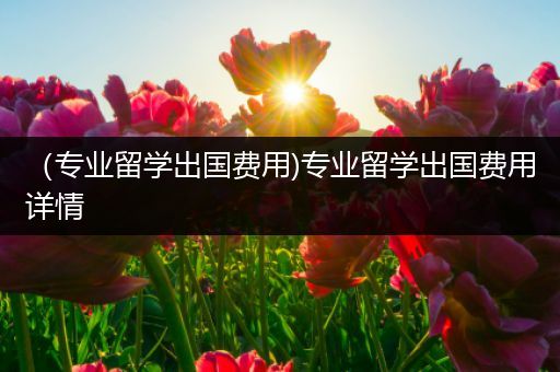 （专业留学出国费用)专业留学出国费用详情