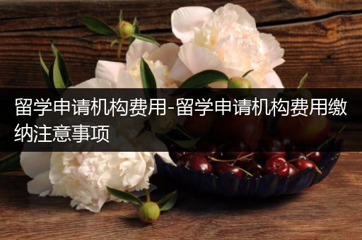 留学申请机构费用-留学申请机构费用缴纳注意事项