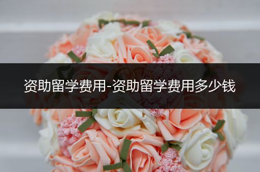 资助留学费用-资助留学费用多少钱