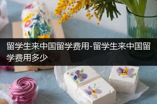 留学生来中国留学费用-留学生来中国留学费用多少