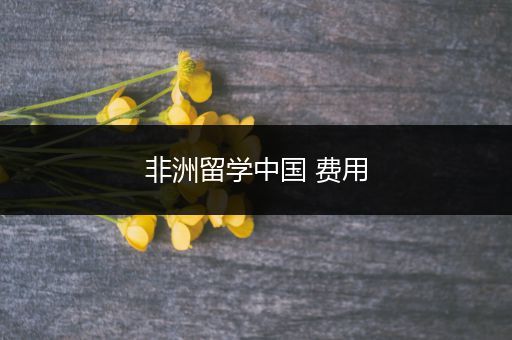 非洲留学中国 费用