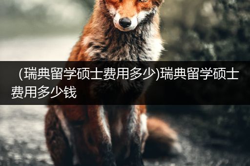 （瑞典留学硕士费用多少)瑞典留学硕士费用多少钱