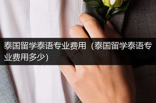 泰国留学泰语专业费用（泰国留学泰语专业费用多少）