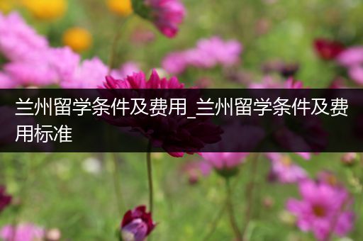 兰州留学条件及费用_兰州留学条件及费用标准
