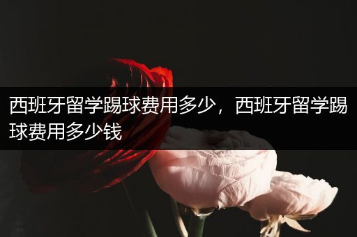 西班牙留学踢球费用多少，西班牙留学踢球费用多少钱
