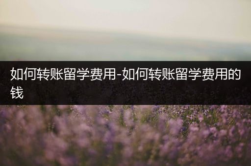 如何转账留学费用-如何转账留学费用的钱