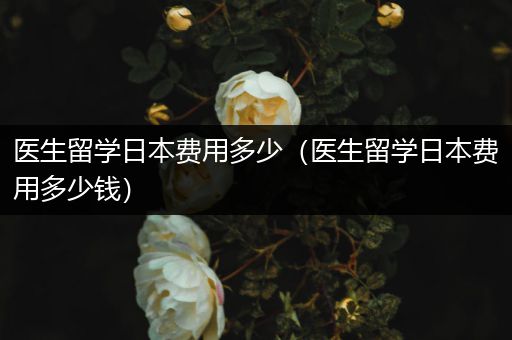 医生留学日本费用多少（医生留学日本费用多少钱）