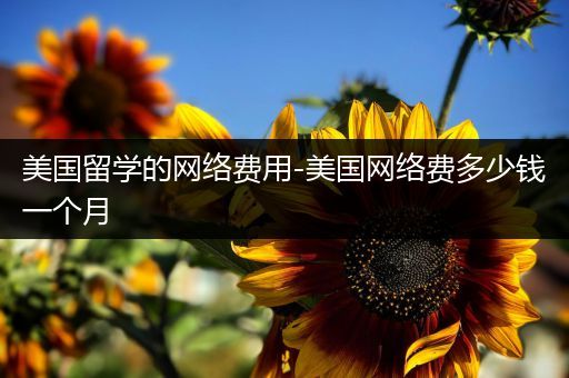 美国留学的网络费用-美国网络费多少钱一个月