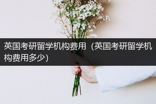 英国考研留学机构费用（英国考研留学机构费用多少）