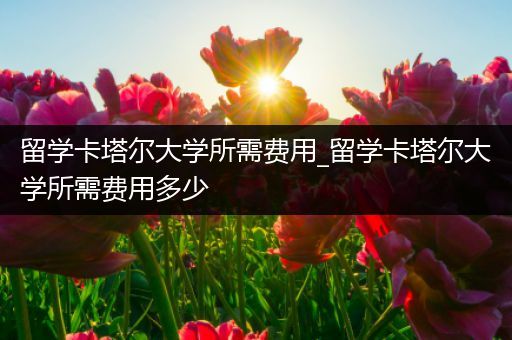 留学卡塔尔大学所需费用_留学卡塔尔大学所需费用多少