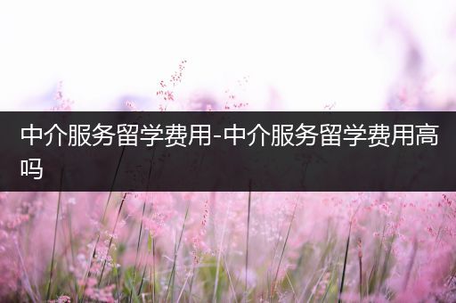 中介服务留学费用-中介服务留学费用高吗