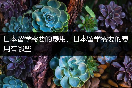 日本留学需要的费用，日本留学需要的费用有哪些