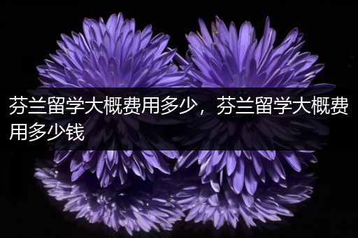 芬兰留学大概费用多少，芬兰留学大概费用多少钱