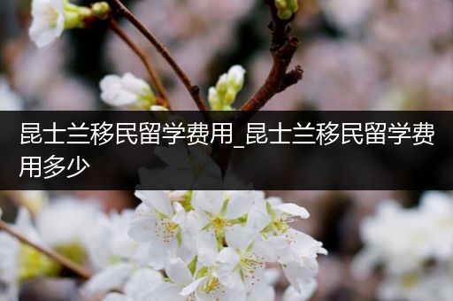 昆士兰移民留学费用_昆士兰移民留学费用多少