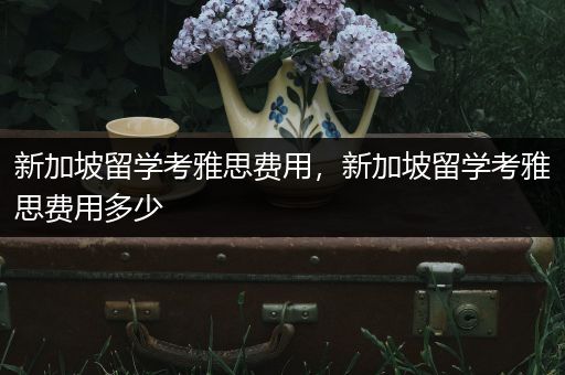 新加坡留学考雅思费用，新加坡留学考雅思费用多少