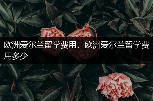 欧洲爱尔兰留学费用，欧洲爱尔兰留学费用多少