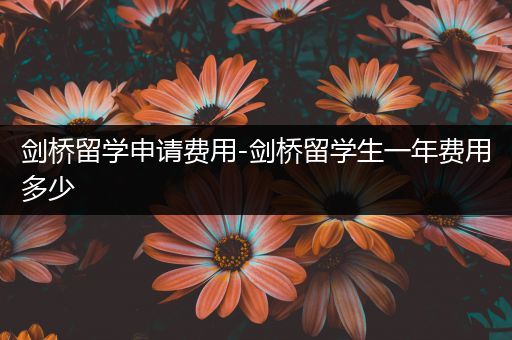 剑桥留学申请费用-剑桥留学生一年费用多少