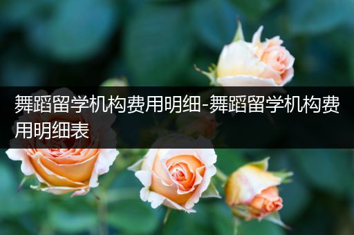 舞蹈留学机构费用明细-舞蹈留学机构费用明细表