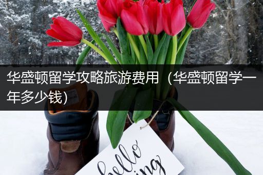 华盛顿留学攻略旅游费用（华盛顿留学一年多少钱）