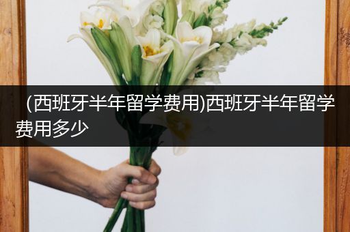 （西班牙半年留学费用)西班牙半年留学费用多少