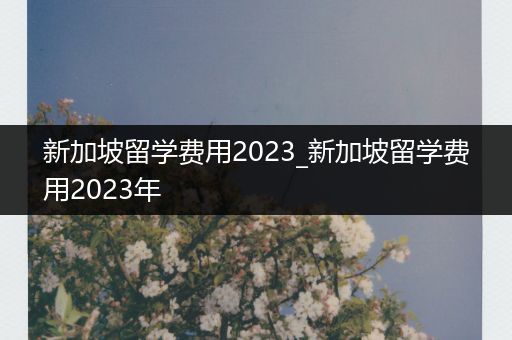 新加坡留学费用2023_新加坡留学费用2023年