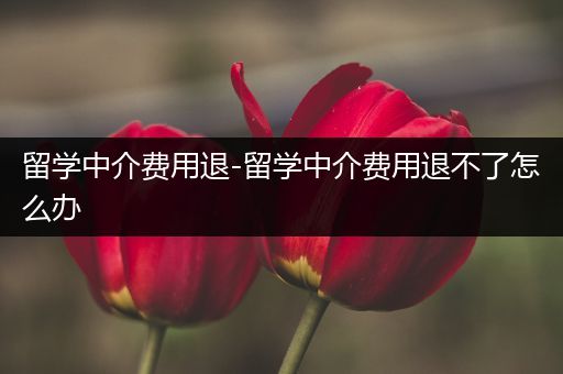 留学中介费用退-留学中介费用退不了怎么办