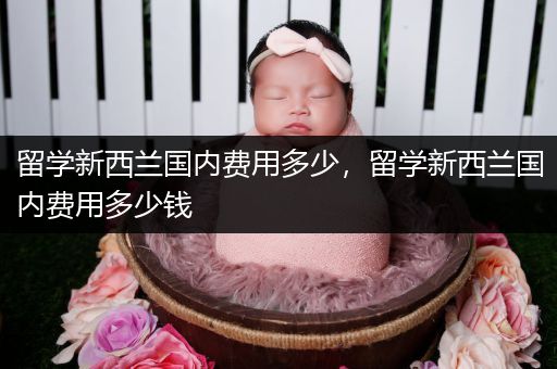 留学新西兰国内费用多少，留学新西兰国内费用多少钱