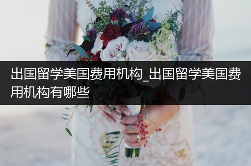 出国留学美国费用机构_出国留学美国费用机构有哪些