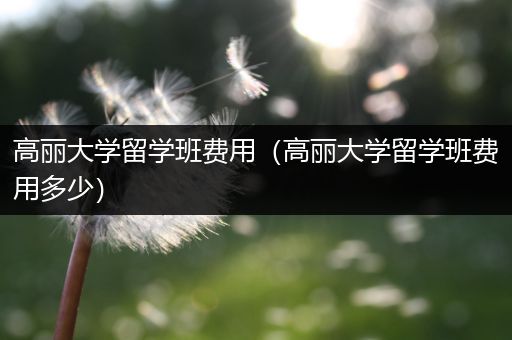 高丽大学留学班费用（高丽大学留学班费用多少）