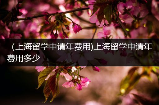 （上海留学申请年费用)上海留学申请年费用多少