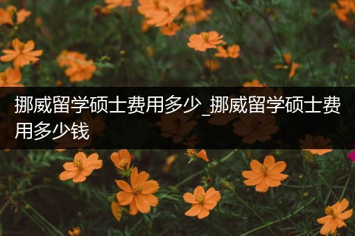 挪威留学硕士费用多少_挪威留学硕士费用多少钱