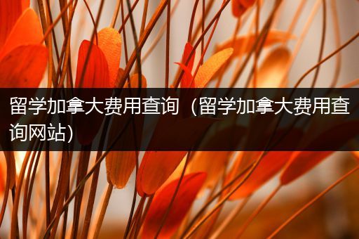 留学加拿大费用查询（留学加拿大费用查询网站）