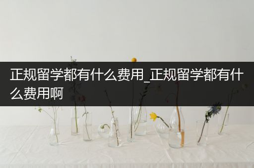 正规留学都有什么费用_正规留学都有什么费用啊