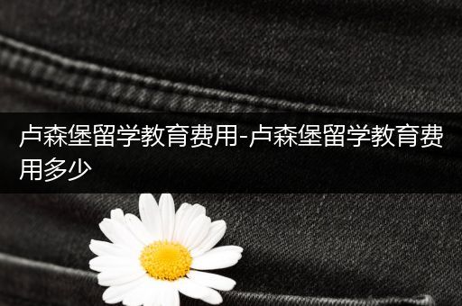 卢森堡留学教育费用-卢森堡留学教育费用多少