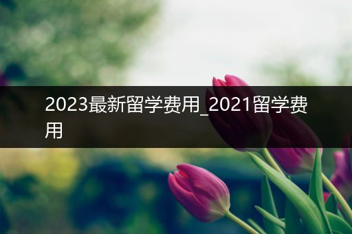 2023最新留学费用_2021留学费用