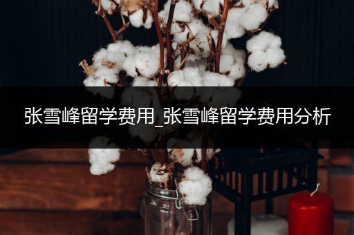 张雪峰留学费用_张雪峰留学费用分析