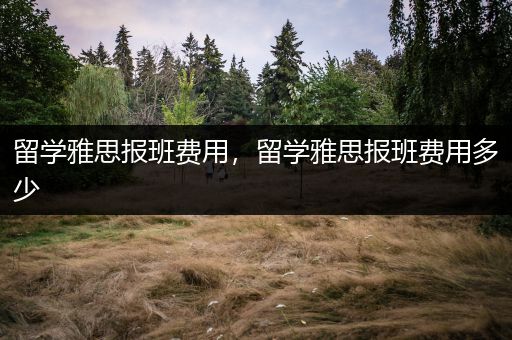 留学雅思报班费用，留学雅思报班费用多少