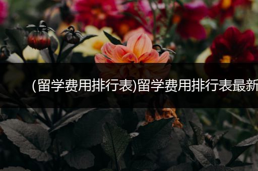 （留学费用排行表)留学费用排行表最新