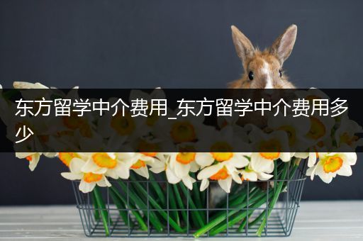 东方留学中介费用_东方留学中介费用多少