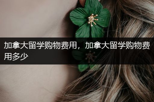 加拿大留学购物费用，加拿大留学购物费用多少
