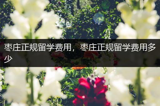 枣庄正规留学费用，枣庄正规留学费用多少