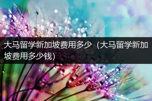 大马留学新加坡费用多少（大马留学新加坡费用多少钱）